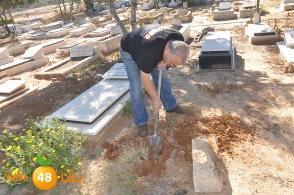 ashjar taso 0328 (33).JPG